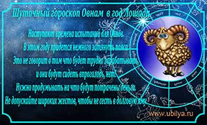 Шуточный гороскоп по знакам зодиака на 2014 год, год Лошади